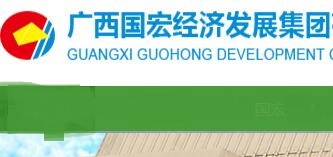 广西国宏集团董家政简历，陈海波、李倩、罗勇、唐建琦、覃铭、钟丽、白卫夫、邹焕鑫领导班子