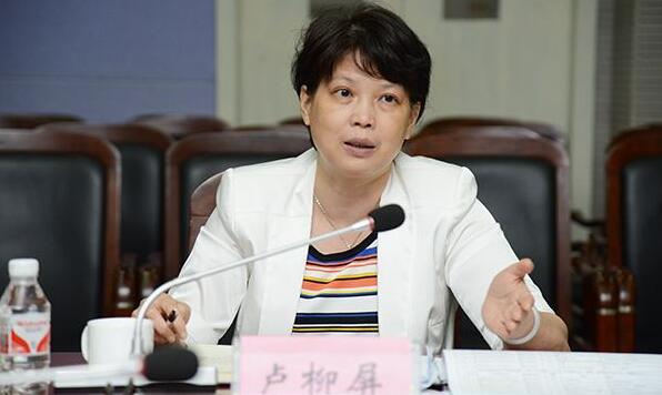 卢柳屏简历：柳州市副市长卢柳屏，曾任柳州绩效办主任