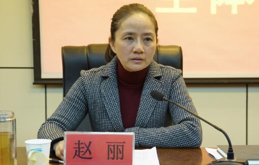 赵丽被查，崇左市委常委、大新县委书记赵丽，曾任崇左市委常委、统战部部长（赵丽简历）