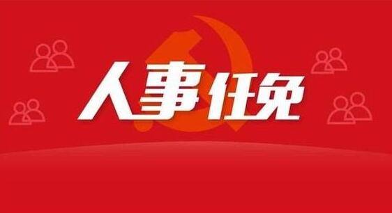高贤斌任崇左大新县委书记，杨世爵任来宾武宣县委书记、曾任百色右江区长(高贤斌|杨世爵简历)