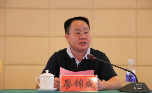 廖锦成被查，廖锦成简历：河池供销社主任廖锦成，曾任河池市发改委主任、凤山县委书记