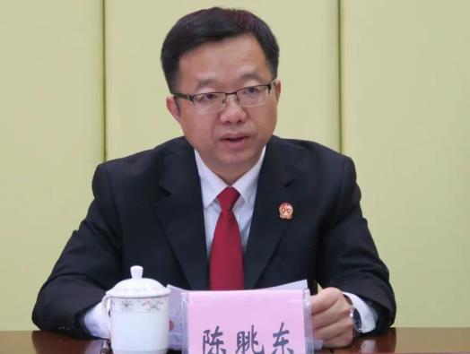 陈眺东简历：百色西林县法院院长陈眺东被查，曾任百色市中院刑事审判第一庭庭长