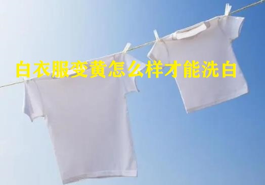 白衣服变黄怎么样才能洗白（衣服发黄怎么洗白小妙招）