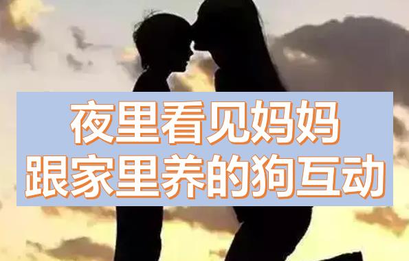 夜里看见妈妈跟家里养的狗互动震惊了，妈妈酒后误为我是爸爸怎么办