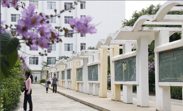 广西城市职业大学校园环境图片